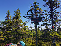 Steinarpåtur_20180710_5b44d855014ab.jpg