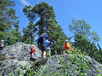 Steinarpåtur_20180710_5b44d94439222.jpeg