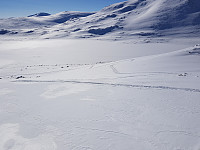 Steinarpåtur_20180710_5b452079507bf.jpg