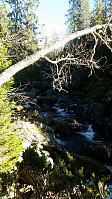 morsor_20161002_57f12847594dd.jpg