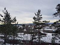 morsor_20190119_5c42feca0baff.jpg