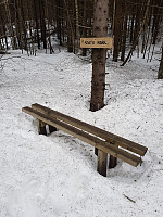 morsor_20190217_5c697a3b98e16.jpg