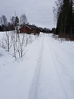 morsor_20190217_5c697a434180e.jpg