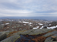 morsor_20190225_5c7441999e7e2.jpg