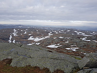 morsor_20190225_5c74419a227bc.jpg