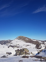 morsor_20190228_5c780911e0c26.jpg