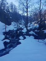 morsor_20190228_5c780914d64f4.jpg