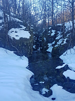 morsor_20190228_5c780915e1fc8.jpg