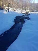 morsor_20190228_5c78091711a12.jpg