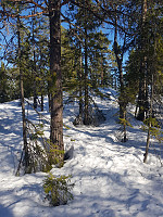morsor_20190329_5c9e51a61d7e6.jpg