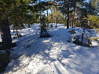 morsor_20190329_5c9e51a81625b.jpg