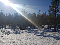 morsor_20190329_5c9e51a8a3994.jpg