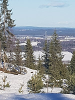 morsor_20190329_5c9e51aa0e4e0.jpg