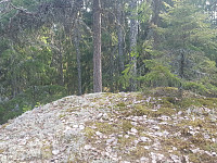 morsor_20190421_5cbc86f2ee6ad.jpg