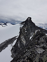 Aleamøbius_20190708_5d237b2f9df7d.jpg